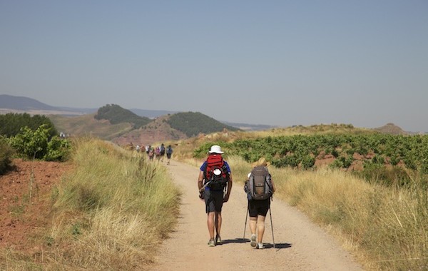 Walkers passing Vineyards near Logrono, Stage 7